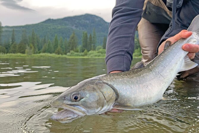 Fishing Adventure in Whistler - Last Words