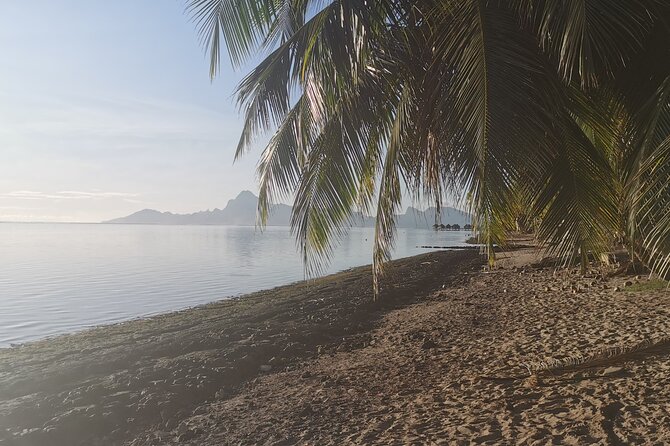 Fishing on a Private Boat off the West Coast of Tahiti - Common questions