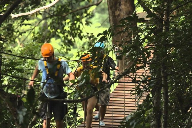 Flying Hanuman Ziplines 42 Platform With Lunch - Last Words