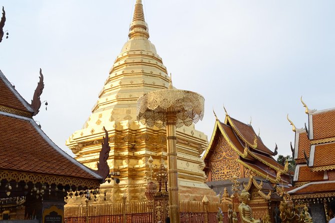 Follow Monks Trails Hiking & Alms Offering Doi Suthep - Pricing Information