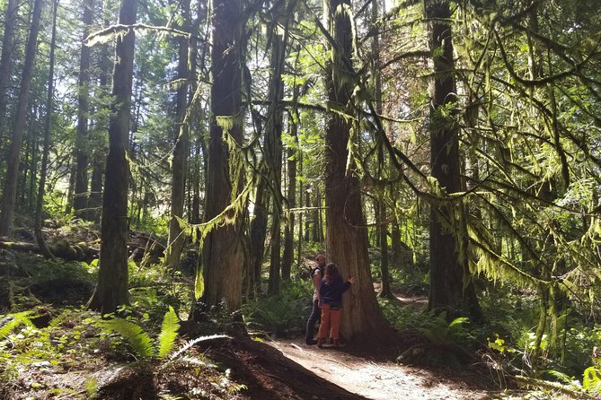 Francis King Regional Park Forest Bathing  - Vancouver Island - Directions and Contact Information
