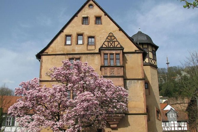 Frankfurt - Excursion to Büdingen (Old Town) - Contact and Support