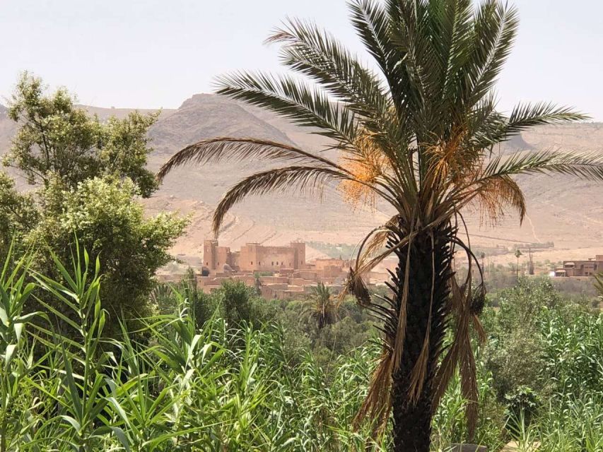 From Agadir: 2-Day El Borj Desert Tour With Transfer & Meals - Overnight Desert Camping