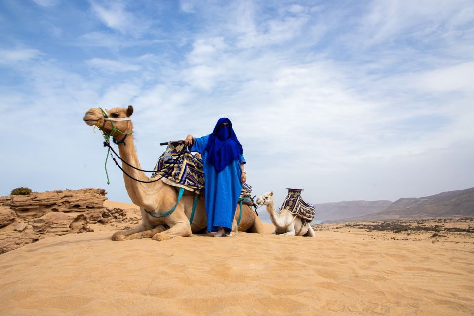 From Agadir: 44 Jeep Desert Safari With Lunch and Pickup - Last Words