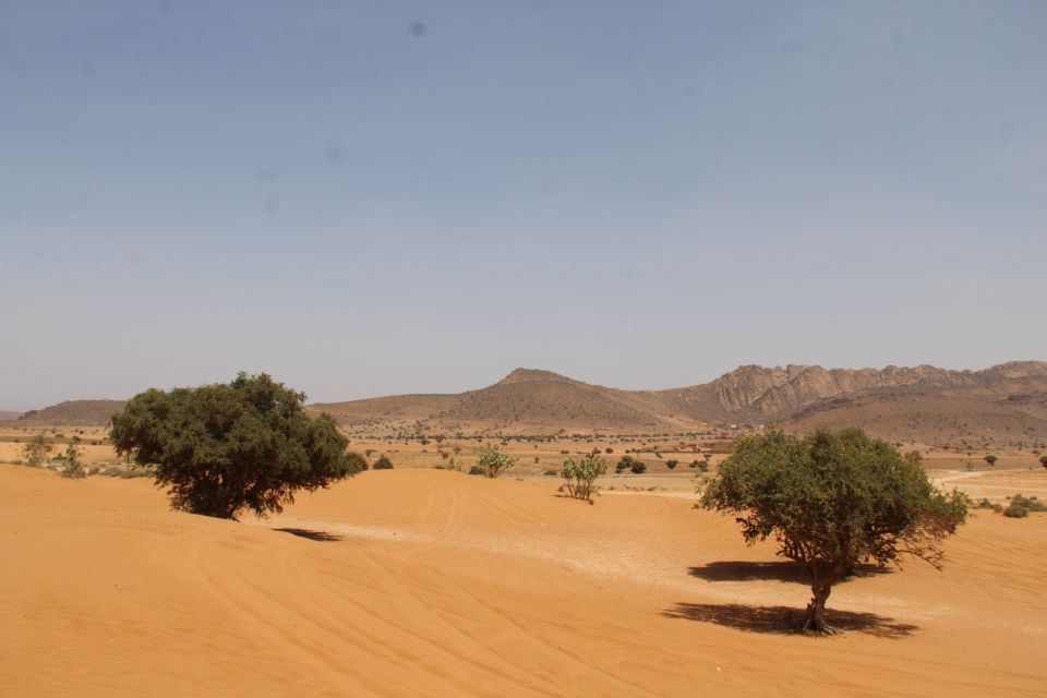 From Agadir : 4x4 Jeep Sahara Desert Tour With Lunch - Booking Information