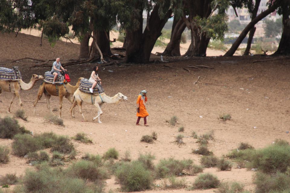 From Agadir : Camel Excursion and Luxurious Hammam & Massage - Last Words