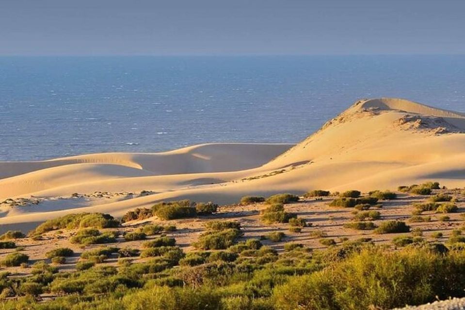 From Agadir: Jeep Desert Safari With Lunch and Camel Ride - Last Words