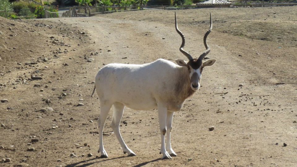 From Agadir: Souss Massa National Park Tour - Common questions