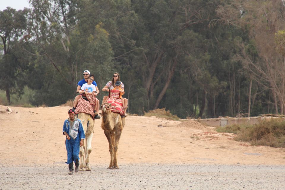 From Agadir/Taghazout: Camel Ride With Tea and Flamingos - Guided Camel Ride
