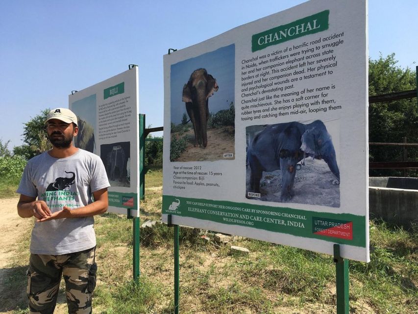 From Agra: Visit to Wildlife SOS Elephant Conservation Trip - Last Words