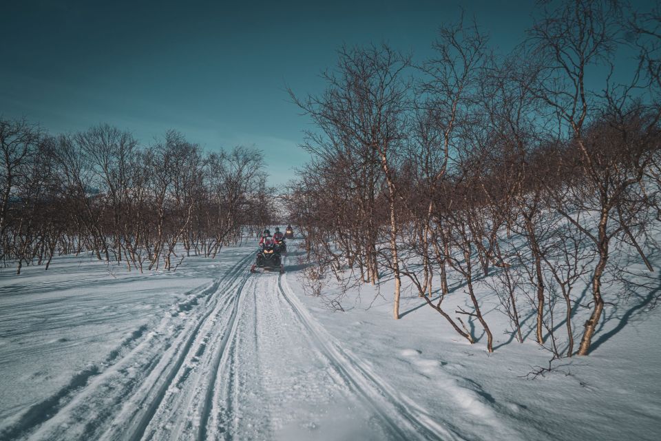 From Alta: Snowmobile Morning Adventure - Last Words