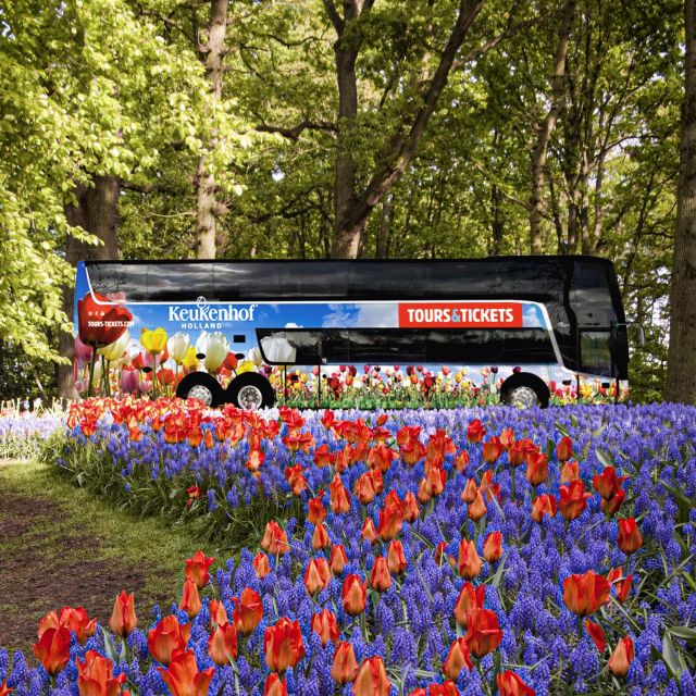 From Amsterdam: Keukenhof Flower Park Transfer With Ticket - Directions and Important Tips
