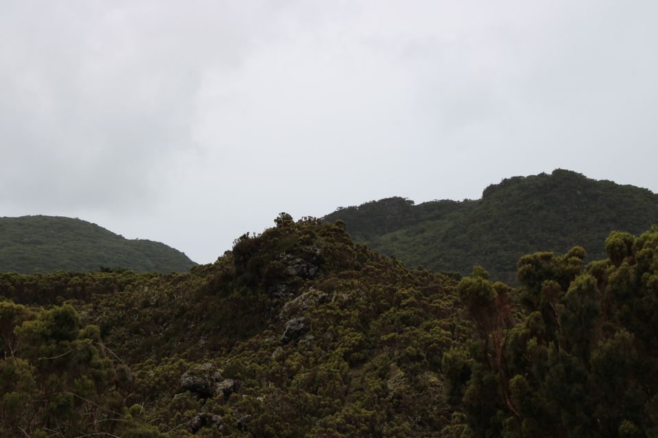 From Angra: 3-Hour Volcano Tour - Last Words