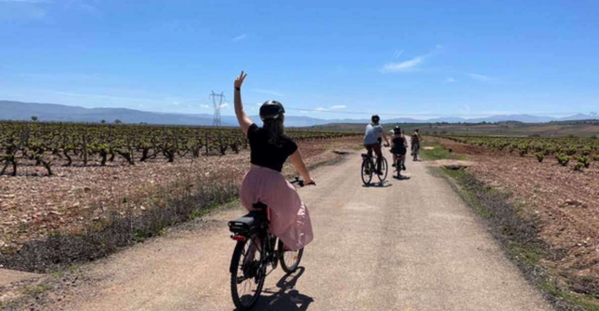 From Bilbao: La Rioja Wine Tour by E-Bike With Wine Tastings - Last Words