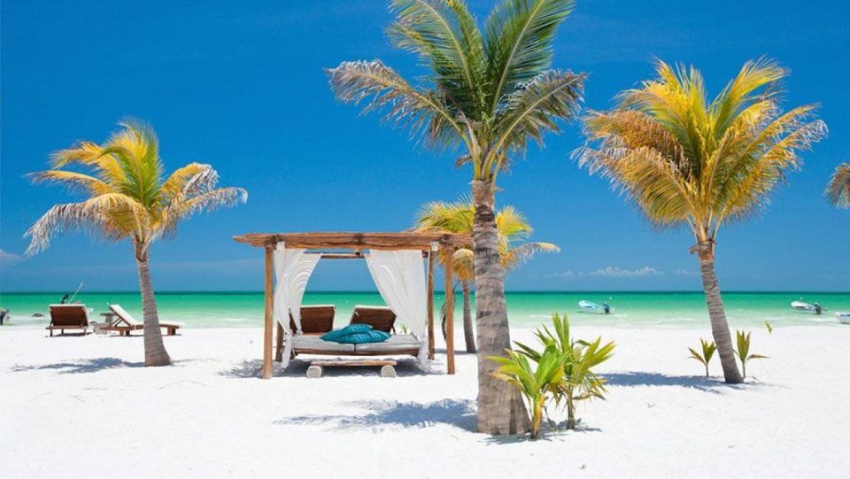 From Cancún/Playa Del Carmen: Holbox Island Tour - Common questions