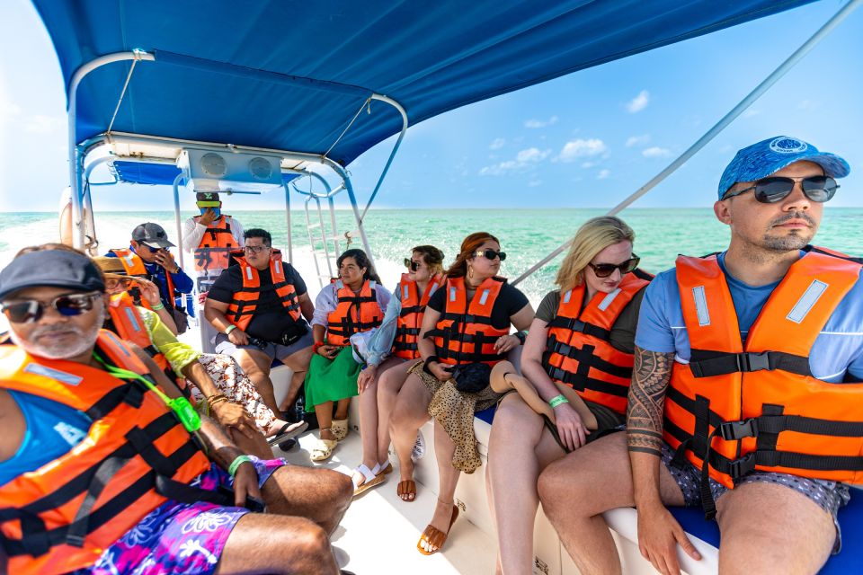 From Cancún/Playa Del Carmen: Holbox Island Tour - Recommendations
