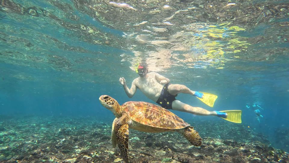 From Ceningan: Snorkeling With Turtle Experience - Eco-Conscious Tourism Focus