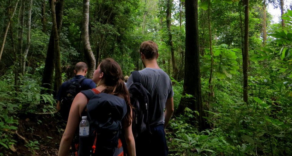 From Chiang Mai: High Mountain Day Trek - Last Words