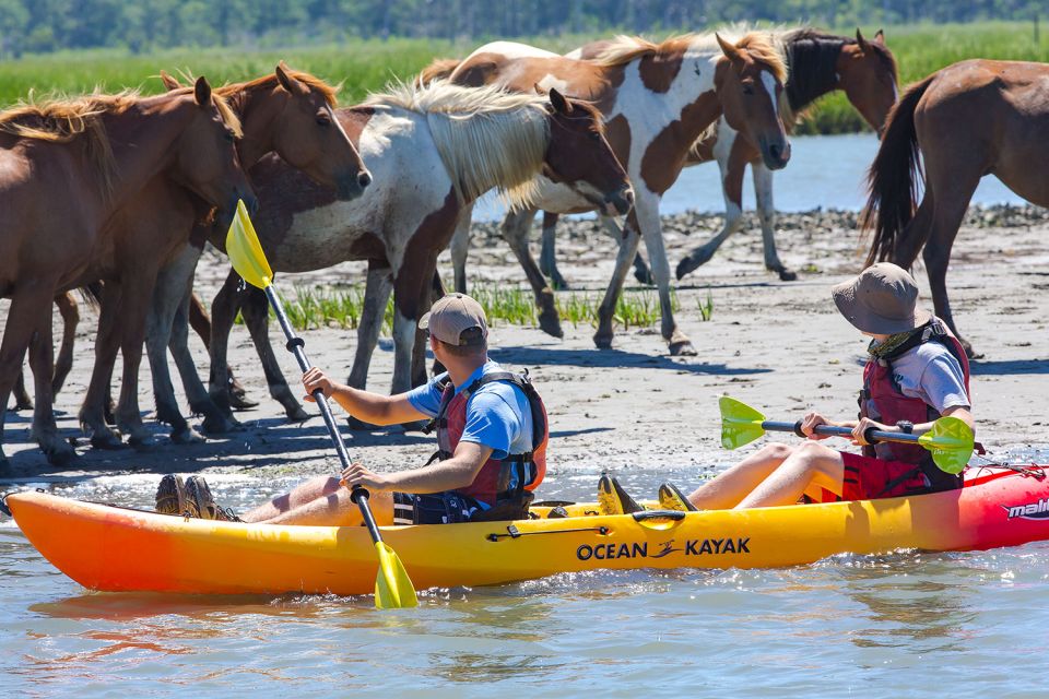 From Chincoteague: Guided Kayak Tour to Assateague Island - Common questions