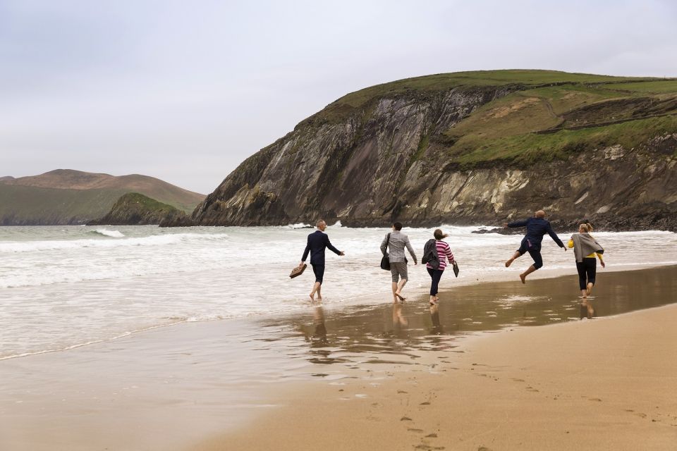 From Cork: Full-Day Guided Tour to Dingle Peninsula - Directions