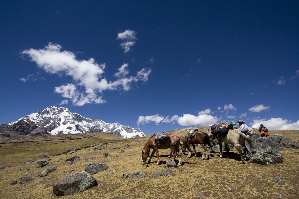 From Cusco: 2-Day Rainbow Mountain Hiking and Camping Trip - Panoramic Views Appreciation