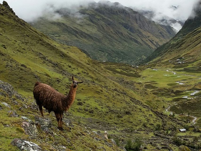 From Cusco: 4-Day Alternative Lares Trail to Machu Picchu - Common questions
