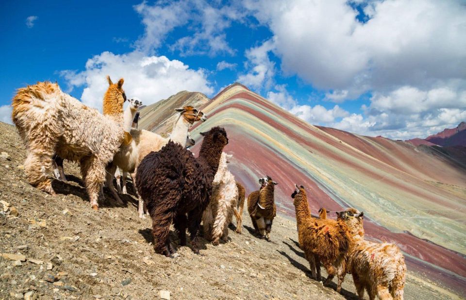 From Cusco: Machu Picchu and Rainbow Mountain 2-Day Tour - Tips for a Memorable Trip