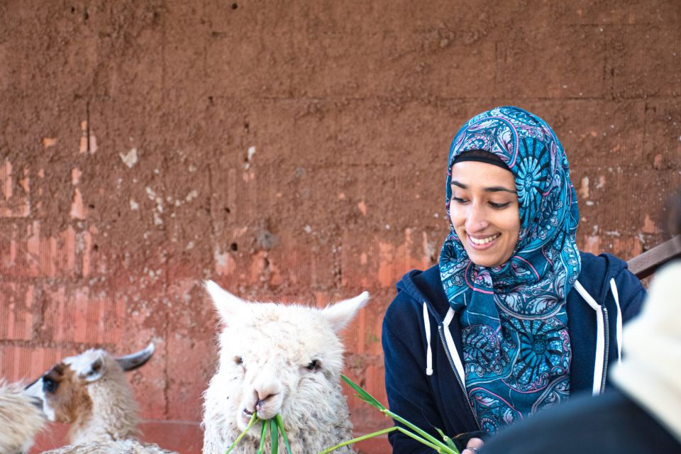 From Cusco: Sacred Valley & Maras Salt Mines Tour With Lunch - Review Summary