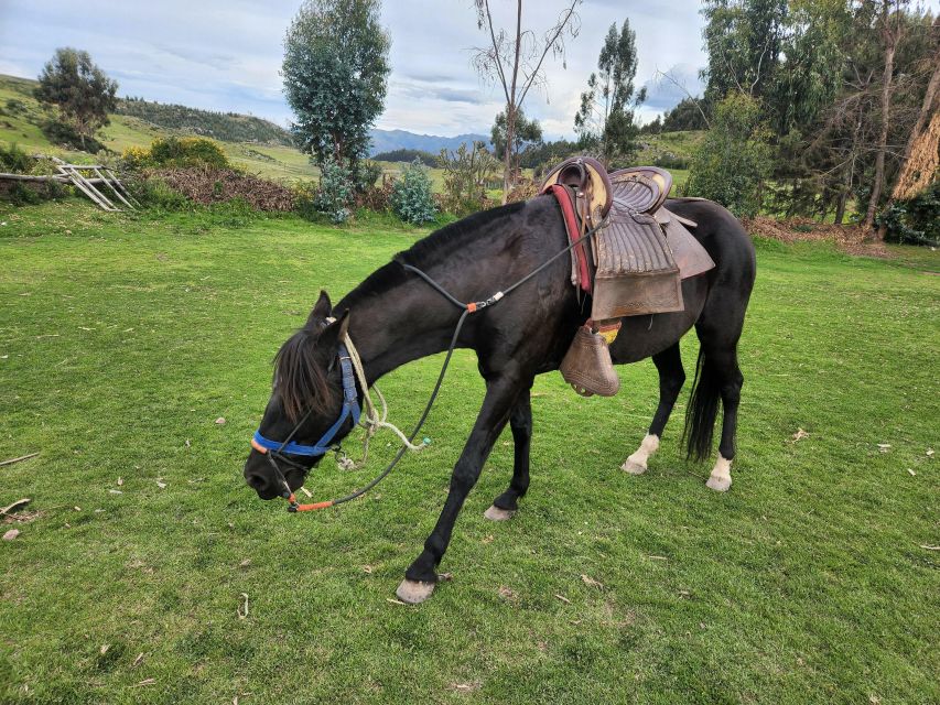 From Cusco: Temple of the Moon Horseback Tour With Transfer - Booking Information