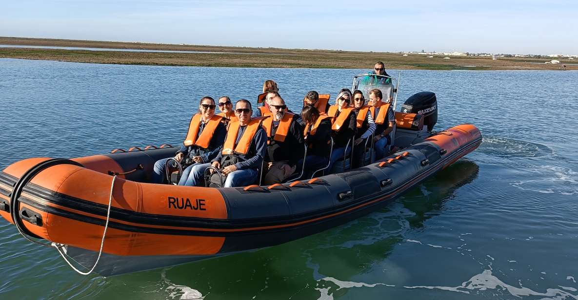 From Faro: Dolphin-Watching & Wildlife - Sustainable Tourism Practices