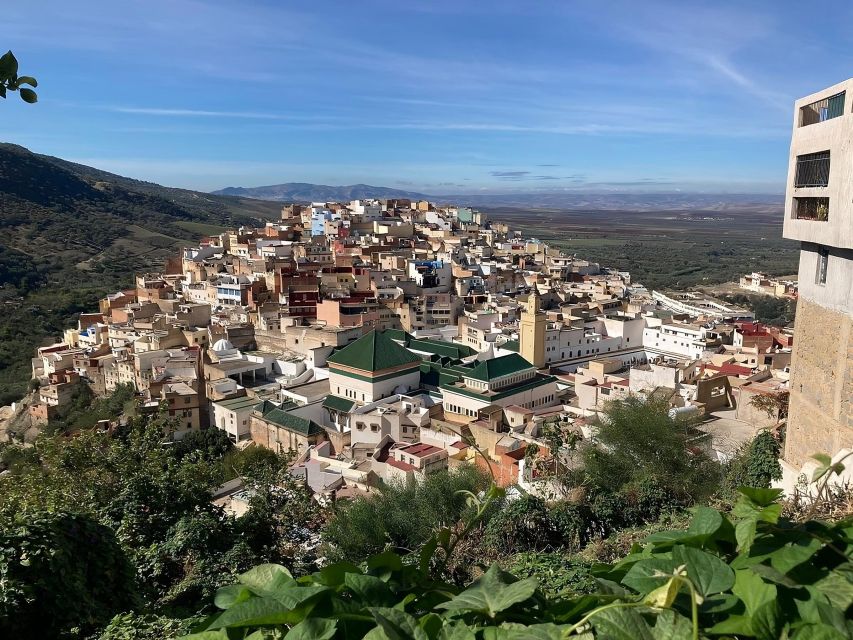 From Fes: Day Trip to Meknes, Volubilis, Moulay Idriss - Additional Tips