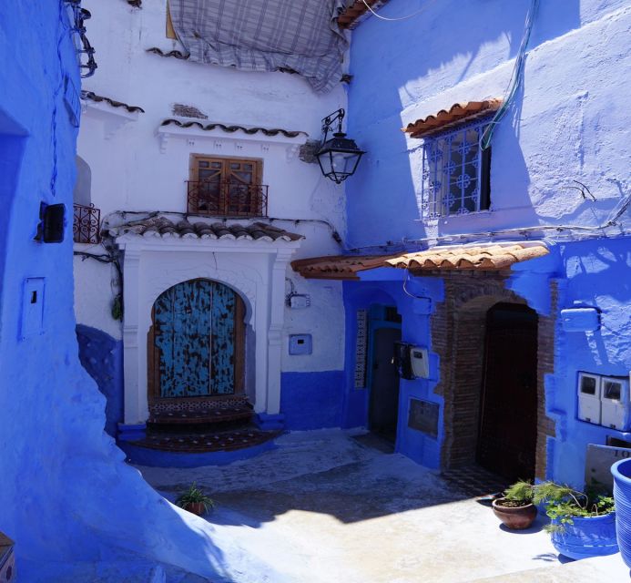 From Fez: Chefchaouen Guided Day Tour - Common questions