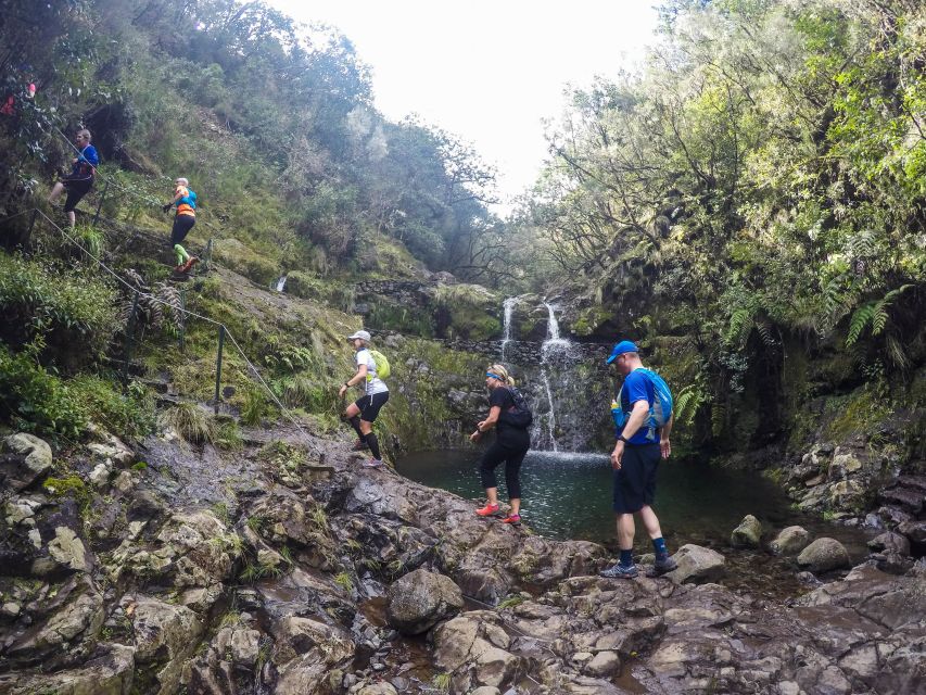 From Funchal: Easy to Moderate Green Levada Running Tour - Common questions