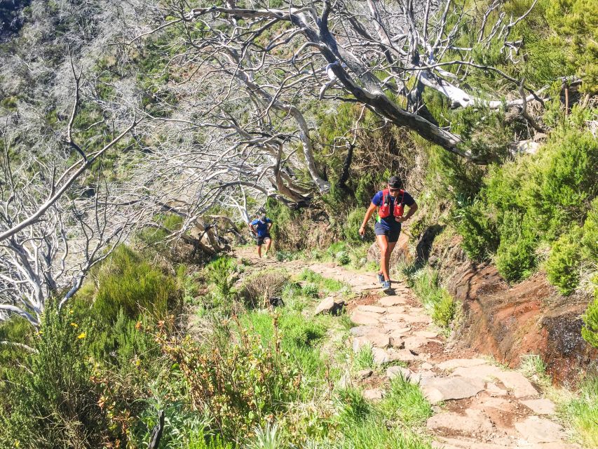 From Funchal: The Peaks Quest Running Tour (Moderate-Hard) - Last Words