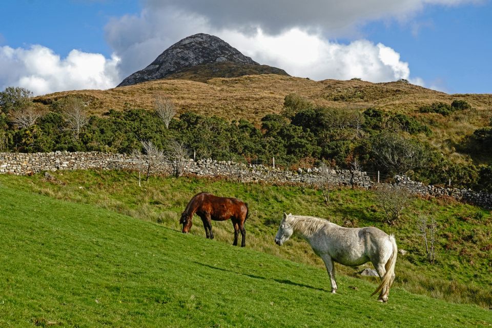 From Galway: Connemara National Park Full Day Tour - Common questions