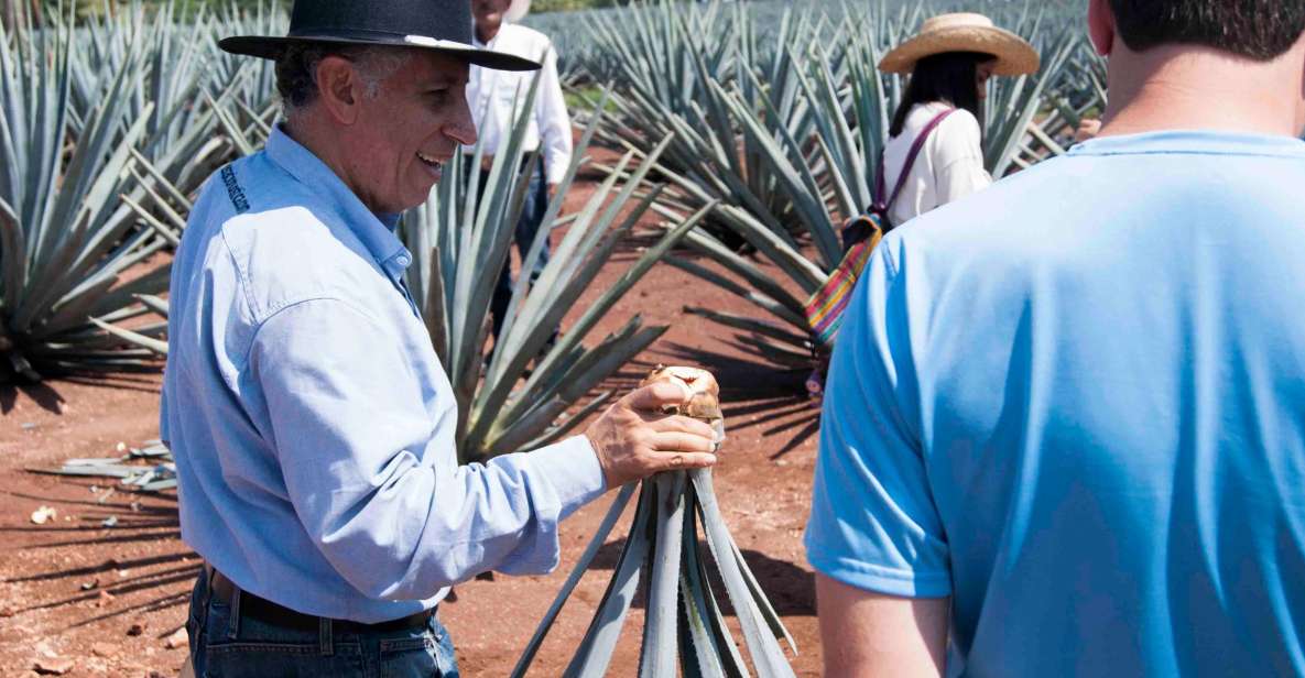 From Guadalajara: Pyramids & Jose Cuervo Tequila Tour - Hands-On Activities