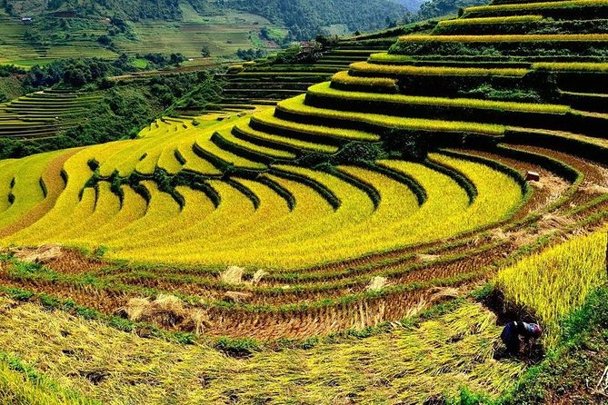 From Hanoi: 2-Day Overnight Sapa Tour by Luxury Van Limousine - Scenic Views and Local Experiences