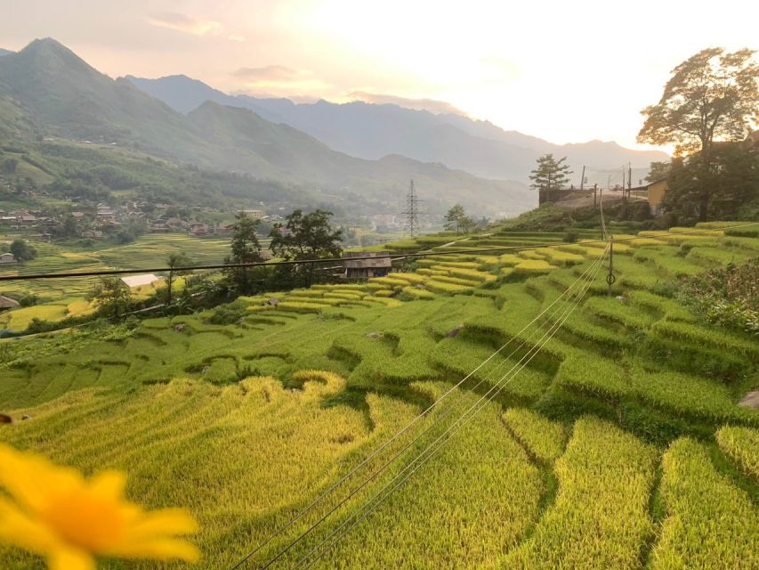 From Hanoi: 2-Day Trip to Sapa By Sleeping Bus - Tips for a Smooth Experience