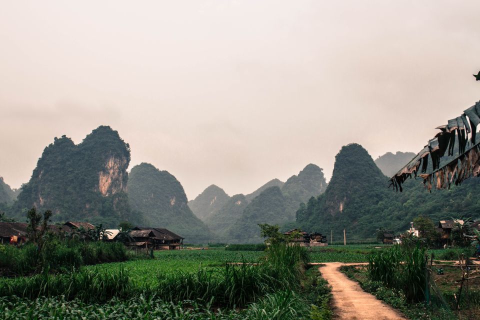 From Hanoi: 3-Day Ba Be Lake & Ban Gioc Falls Private Tour - Visit Ban Gioc Waterfall