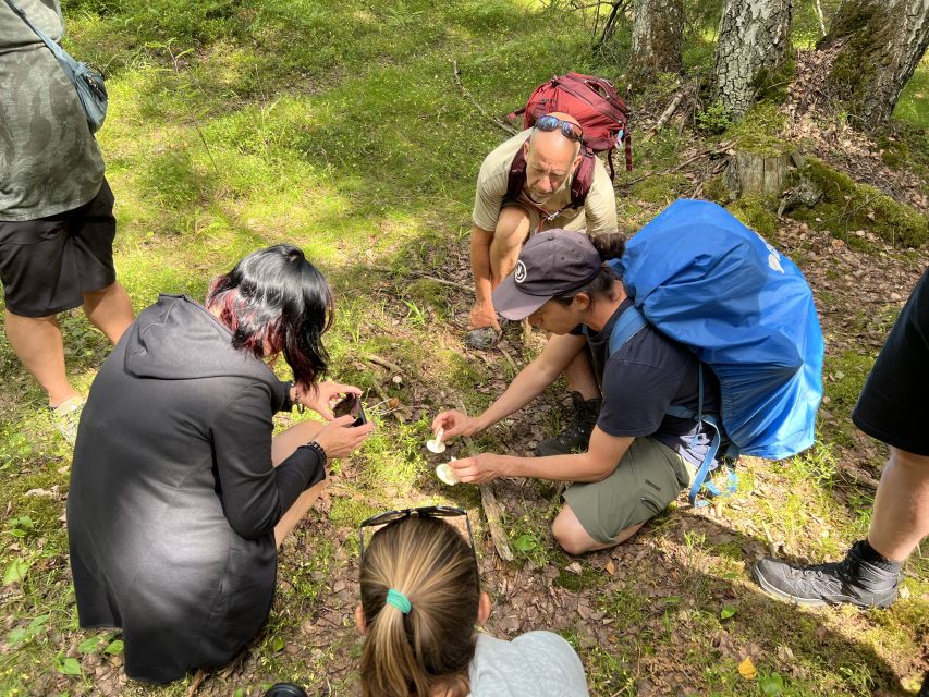 From Helsinki: Hike and Sauna in Sipoonkorpi National Park - Last Words