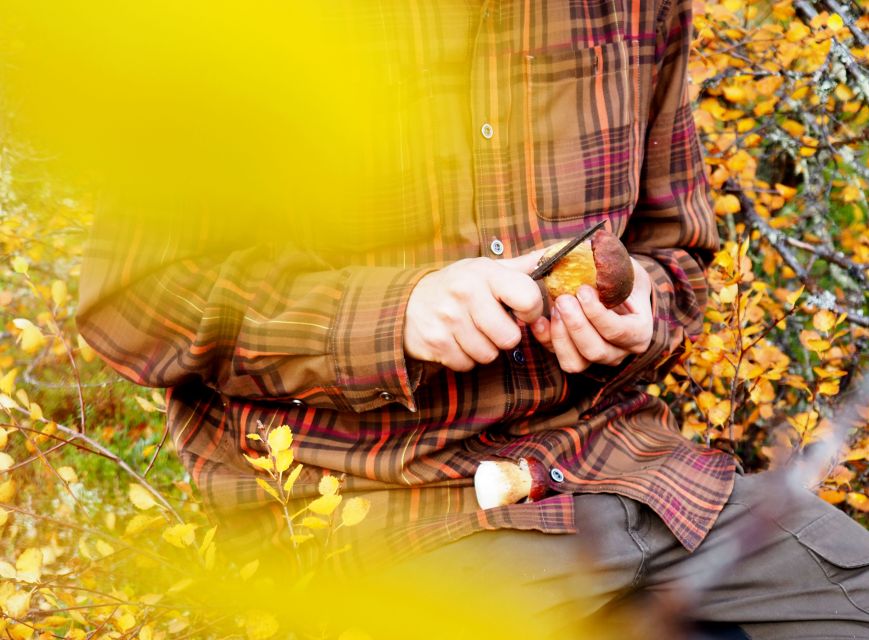 From Helsinki: Mushroom Hunting Tour in a National Park - Common questions