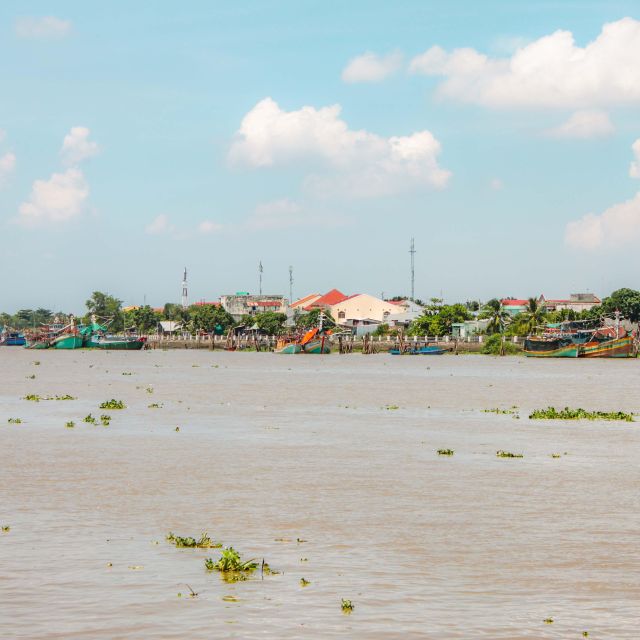 From Ho Chi Minh City: Mekong Delta Private Full-Day Tour - Common questions