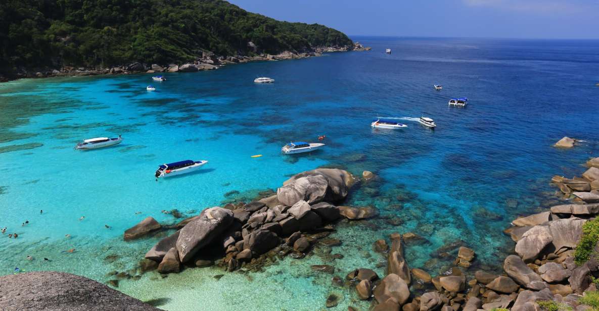 From Khao Lak: Full-Day Snorkeling in the Similan Islands - Customer Feedback and Recommendations