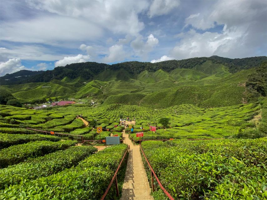 From Kuala Lumpur: Cameron Highlands Private Day Tour - Common questions