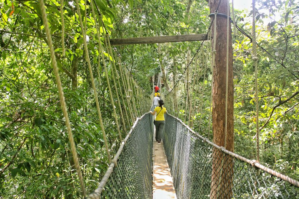 From Kuala Lumpur: Taman Negara National Park Day Tour - Common questions