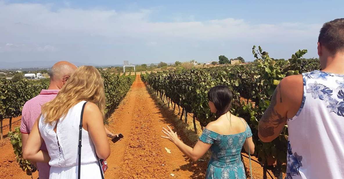 From Lagos: Private Algarve Wineries Tour With Tastings - Vineyard Exploration