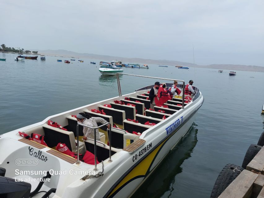 From Lima: Ballestas Island and Paracas Reserve Private Tour - Booking and Reservation Details