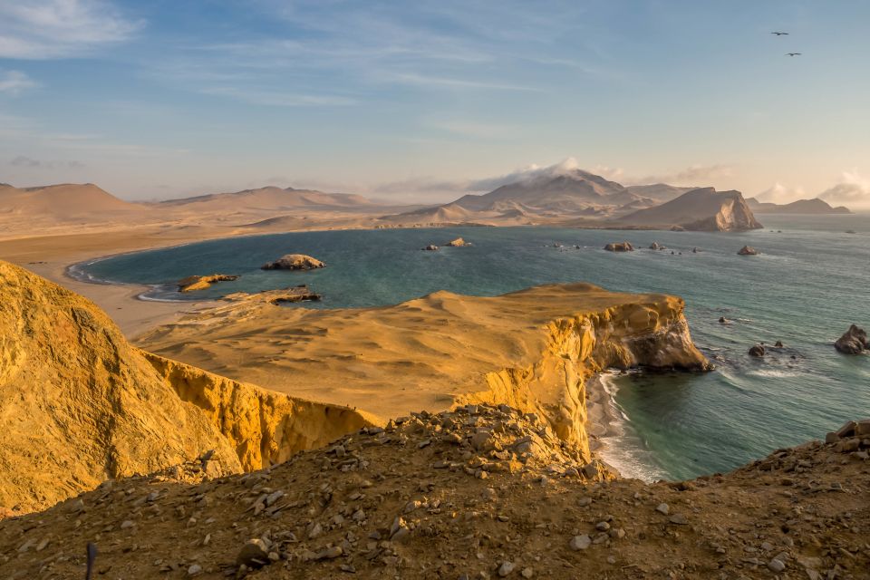 From Lima: Ballestas Island & Huacachina Oasis Private Tour - Testimonials and Recommendations
