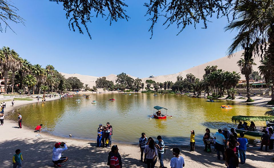 From Lima: Ballestas Islands, Huacachina, and Vineyard Tour - Tour Experience