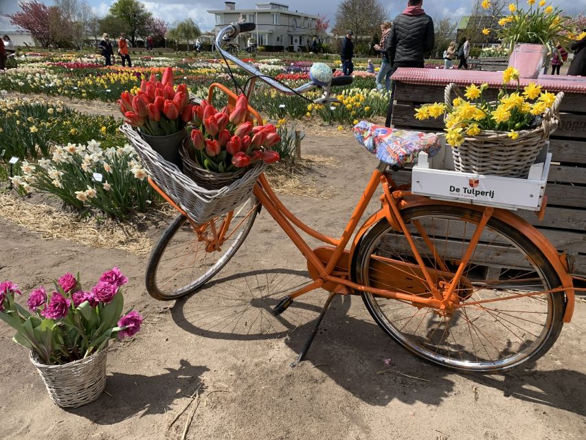 From Lisse: Flower Bike Tour Along Keukenhof and De Tulperij - Directions for the Flower Bike Tour
